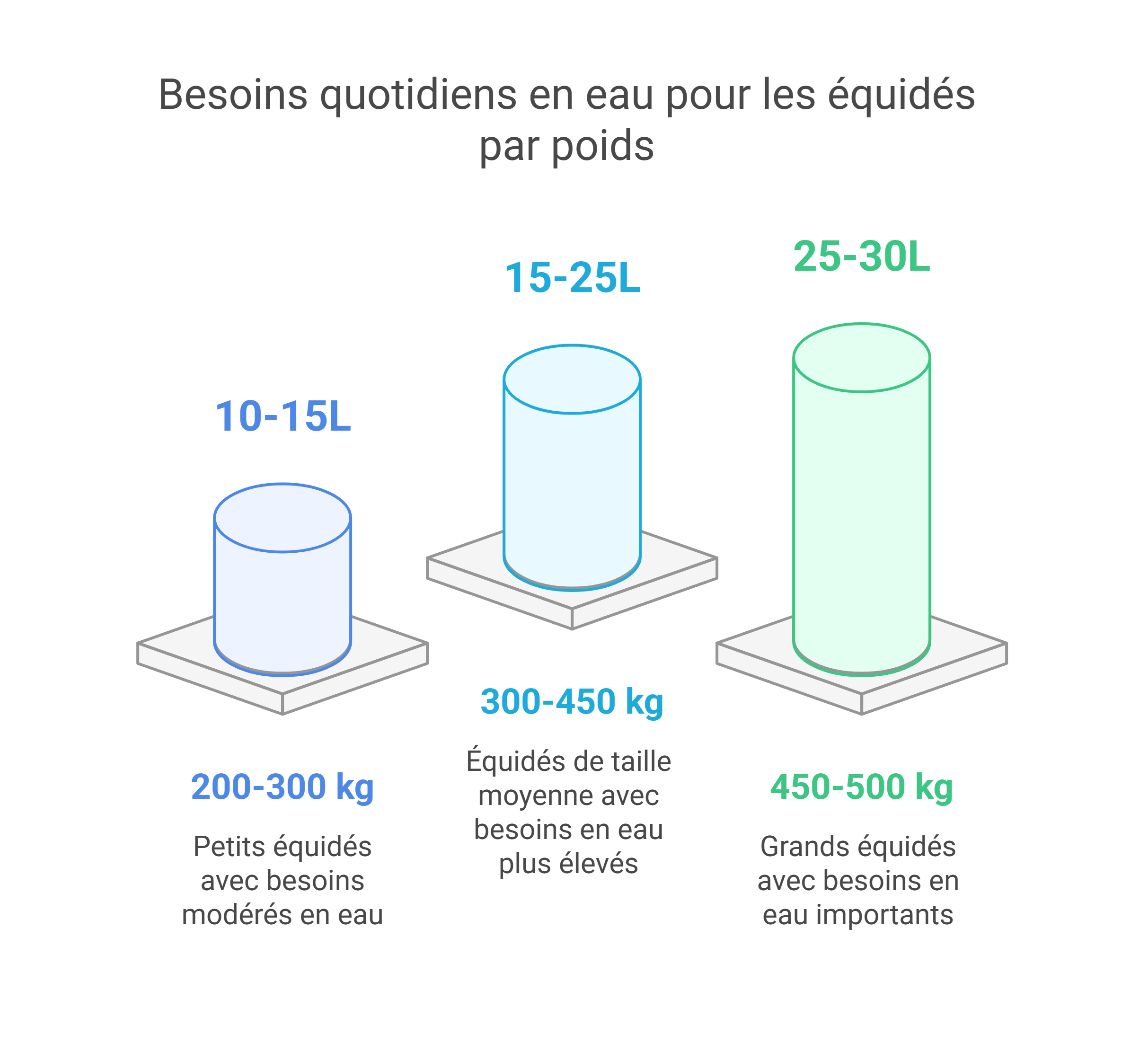 besoins eau cheval